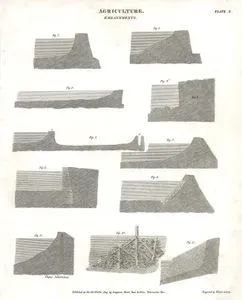 Tarım, Bentler, Plate X.