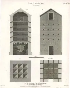 Tarım, Tahıl Ambarı, Plate XXIV.