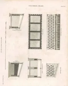 Salatalık Ekim Yeri, Plate D.Vol.1
