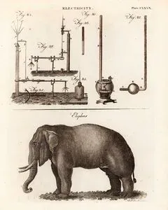 Elektrik Aletleri, Plate CCLXXX.-Fil