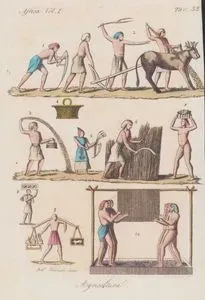 Mısır Tarımı-Asası İle Osiris Rahibi (1), İki Boyunduruklu Öküzle Çekilen Pullukla Tarlanın Sürülmesi (2) Tarlaya Tohum Atılması (3), Tırpanla Buğday Hasat Edilmesi (5,6), Ürün Taşıyanlar (7,8,9), Yatay Bir Direğe Asılı Halatlara Tutunarak Suyunu Çıkatmak İçin Üzümleri Ezilmesi (10), Afrika Cilt I. Resim 33