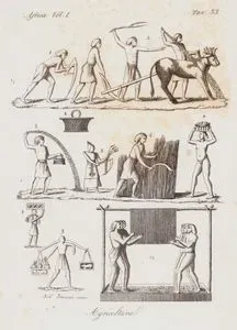 Mısır Tarımı-Asası İle Osiris Rahibi (1), İki Boyunduruklu Öküzle Çekilen Pullukla Tarlanın Sürülmesi (2) Tarlaya Tohum Atılması (3), Tırpanla Buğday Hasat Edilmesi (5,6), Ürün Taşıyanlar (7,8,9), Yatay Bir Direğe Asılı Halatlara Tutunarak Suyunu Çıkatmak İçin Üzümleri Ezilmesi (10), Afrika Cilt I. Resim 33