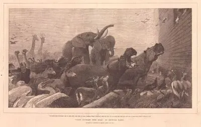 Tufandan Önce Tanrının Hazreti Nuh İle Anlaşması, Genesis (Diriliş), Chapter (Bölüm) 6.Verse (Ayet) 20.