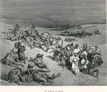 Hayvanlarda Salgın Hastalık Olması