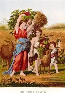 İlk Meyveler