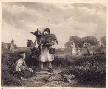 Herkesin Hayvanı