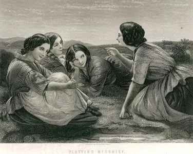 Haylazlık Planlamak
