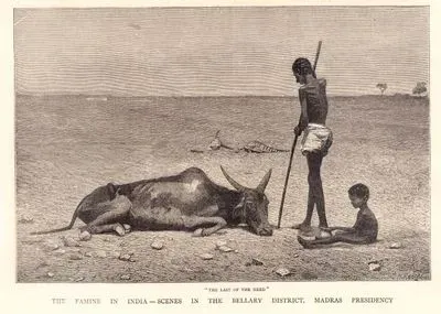 Hindistan'ın Madras Prensliğinin Bellary Bölgesinde Açlık, Sürünün Sonu