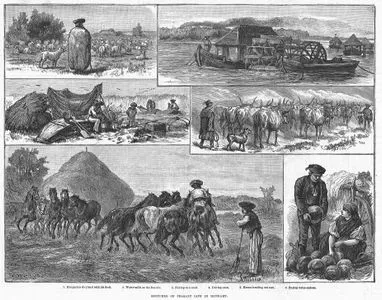 Macaristan Kırsal Hayatla İlgili Çizimler 1.Sürüsü İle Birlikte Macar Çoban 2.Tuna Nehri Üzerinde Su Değirmeni 3.Derede Yapılan Balıkçılık 4.Öküz Sürüsünün Güdüklmesi 5.Atların Mısrları Ezmesi 6.Karpuz Satın Alınması