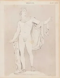 Apollo Belvedere Heykelinin Çizimi
