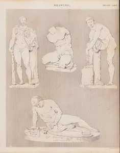 Herakles ve Oğlu Telephus, Torso, Jason, Ölen Bir Gladyatör Heykellerinin Çizimi
