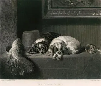 Süvari Köpekleri-King Charles Spaniels