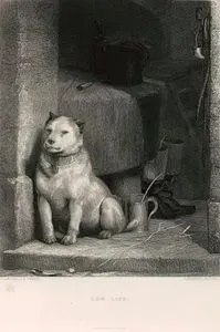 Fakir Hayat