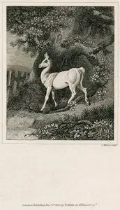 Karaca