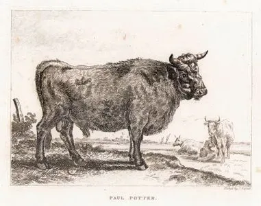 İnek-Paul Potter