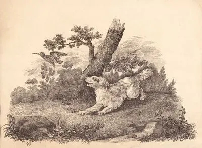 Köpek