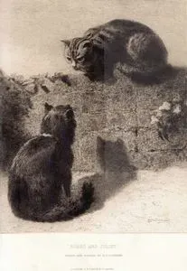 Romeo Ve Juliet