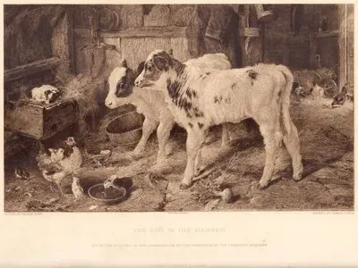 Yemliğin İçindeki Köpek