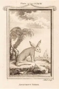 Adı Bilinmeyen Hayvan, Plate CCXCIV.