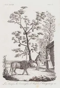 Asya'nın Fauna ve Florası, Buffalo, Orangutan, Nefesi Ağacı (Jackfruit) ve Hardal, Asya Cilt III. Resim 1.