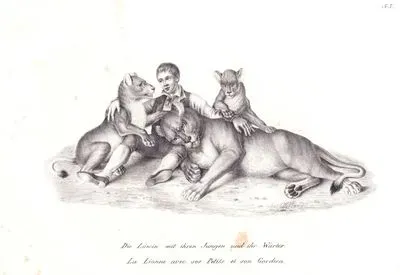Dişi Aslan, Yavruları ve Koruyucusu