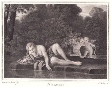 Narkissos (Narcissus)