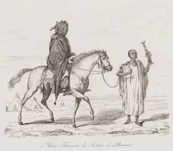 Bornu Sultanının Gözdesi
