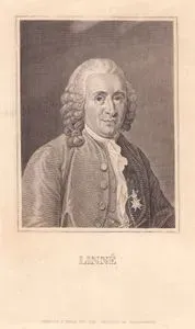 Carl Linnaeus (Carl von Linne)