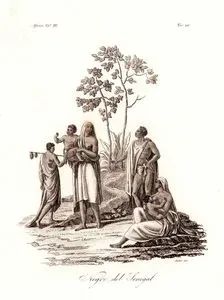 Senegal'da Yaşayanlar, Afrika Cilt III. Resim 26.