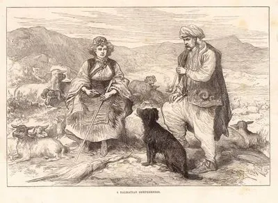 Dalmaçyalı Çobanlar