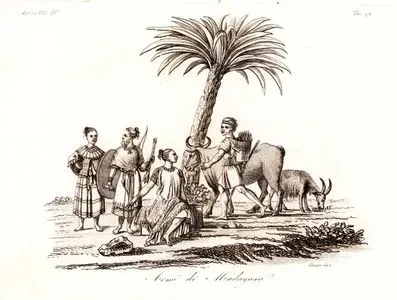 Madagaskar Halkının Kostümleri Ve Kullandığı Silahlar, Afrika Cilt IV. Resim 78.