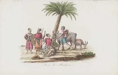 Madagaskar Halkının Kostümleri Ve Kullandığı Silahlar, Afrika Cilt IV. Resim 78.