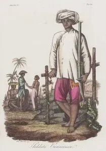 XVIII. Yüzyılda Vietnamlı (Koçinli) Asker, Asya Cilt IV. Resim 82.