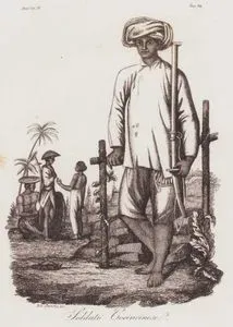 XVIII. Yüzyılda Vietnamlı (Koçinli) Asker, Asya Cilt IV. Resim 82.