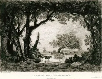 Fontainebleau Ormanında Günbatımı