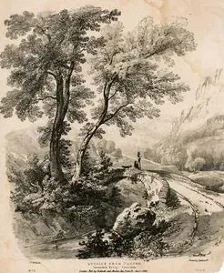 Doğadan Çizimler, Grizedale Köprüsü Patterdale, No:2