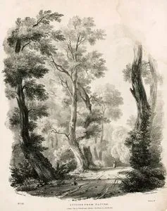 Doğadan Çizimler, No:12