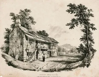 Doğadan Çizimler, No:14