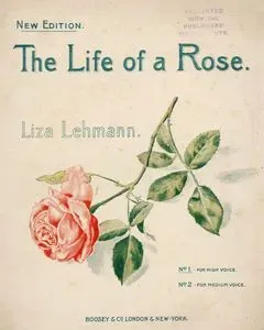Bir Gülün Hayatı, Liza lehmann Tarafından Bestelenmiş