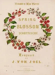 Bahar Çiçeği, Joseph Von Joel'in Bestelediği Warren'a Atfedilen İskoç Dans Müziği