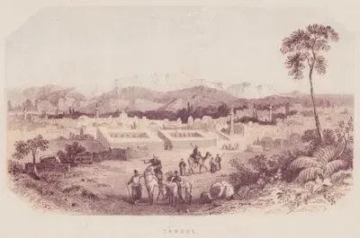 Tarsus