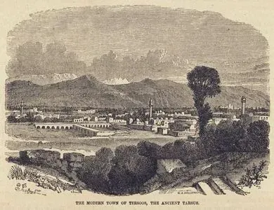 Tarsus