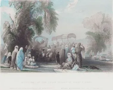 Göksuda Kır Şenliği Ve Müzisyenler