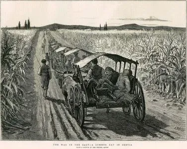 1876-1877 Osmanlı-Sırp Savaşı Sırasında Yaralıların Taşınması