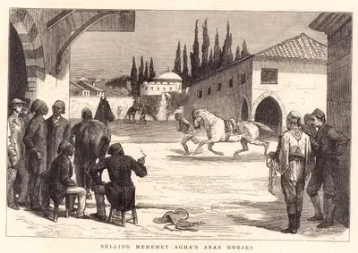 Mehmet Ağanın Arap Atlarının Satışı