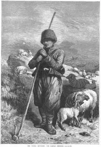 Tatar Çoban