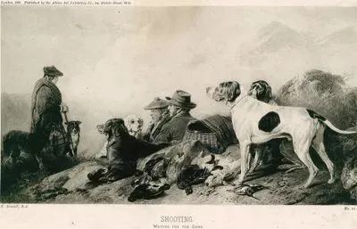 Avcılık, Silahları Beklerken