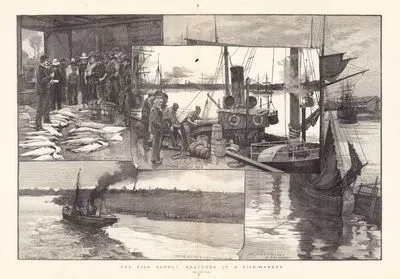 Balık Pazarı-Açık Arttırma İle Balık Satışı, Trol Teknesinden Balıkların İndirilişi, Karides Teknesinin Ava Çıkışı, 
İngiltere Lincolnshire'de Rıhtım ve Balık Pazarının Görüntüsü