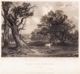 Cadzow Park, Lanarkshire