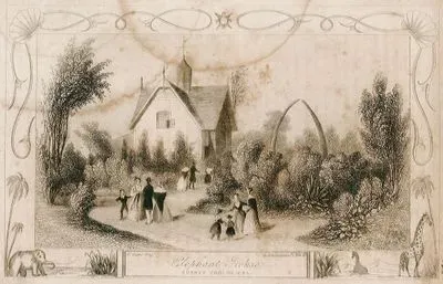 Fil Evi, Surrey